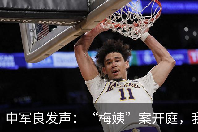 申军良发声：“梅姨”案开庭，我要问几个关键问题